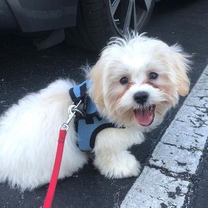 Meet your Posher, Gabriela